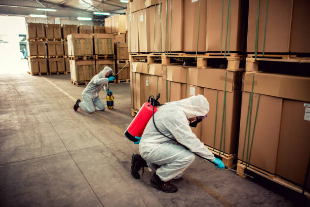 Best Pest Control Near Me  in Burnham, PA