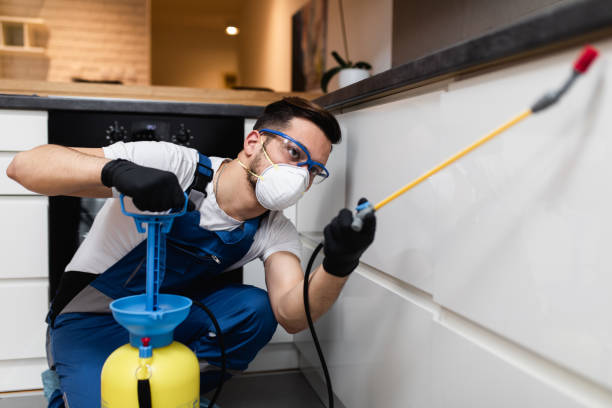 Pest Control for Restaurants in Burnham, PA
