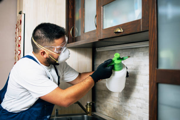 Best Best Pest Control Near Me  in Burnham, PA