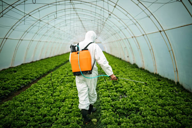 Best Affordable Pest Control Services  in Burnham, PA