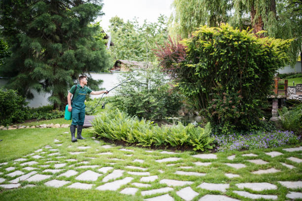 Best Pest Control Near Me in Burnham, PA
