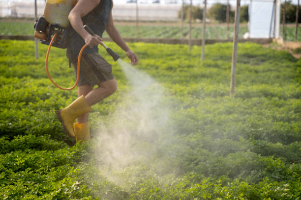 Professional Pest Control in Burnham, PA