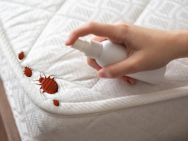 Best Emergency Pest Control  in Burnham, PA