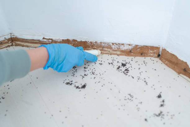 Best Wildlife Control Services  in Burnham, PA