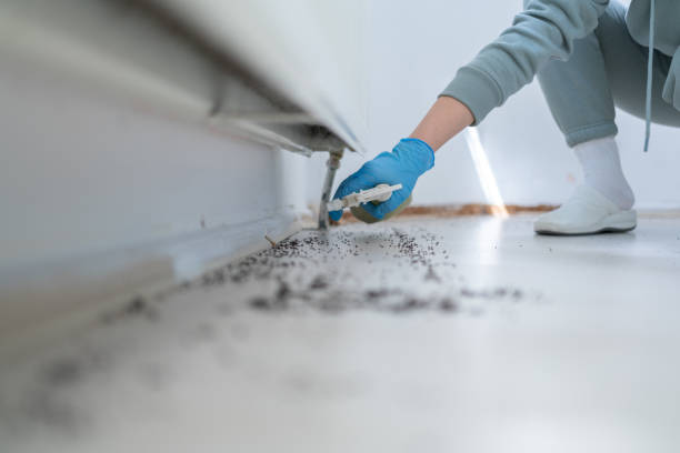 Best Commercial Pest Control Services  in Burnham, PA